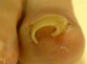 ˼׹ôƺ